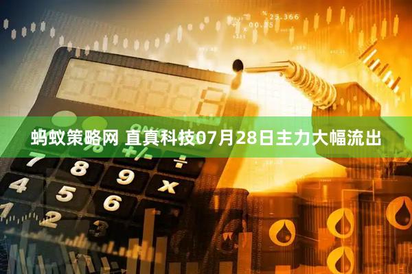 蚂蚁策略网 直真科技07月28日主力大幅流出