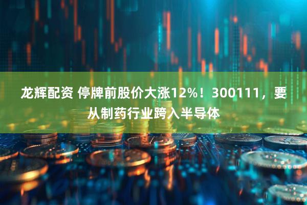 龙辉配资 停牌前股价大涨12%！300111，要从制药行业跨入半导体