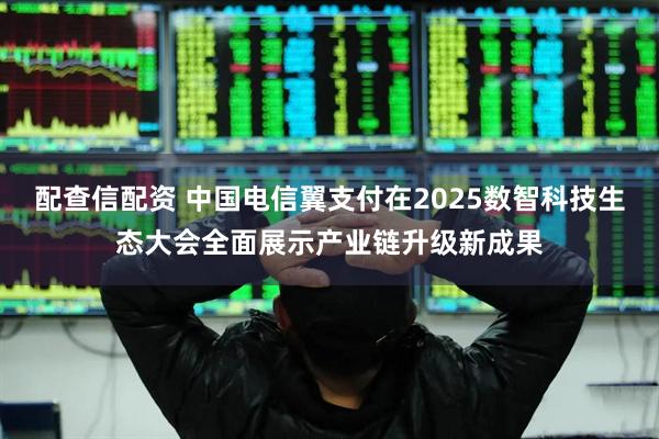 配查信配资 中国电信翼支付在2025数智科技生态大会全面展示产业链升级新成果