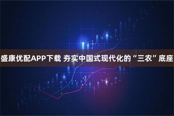 盛康优配APP下载 夯实中国式现代化的“三农”底座